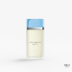 Dolce gabbana light blue 2025
