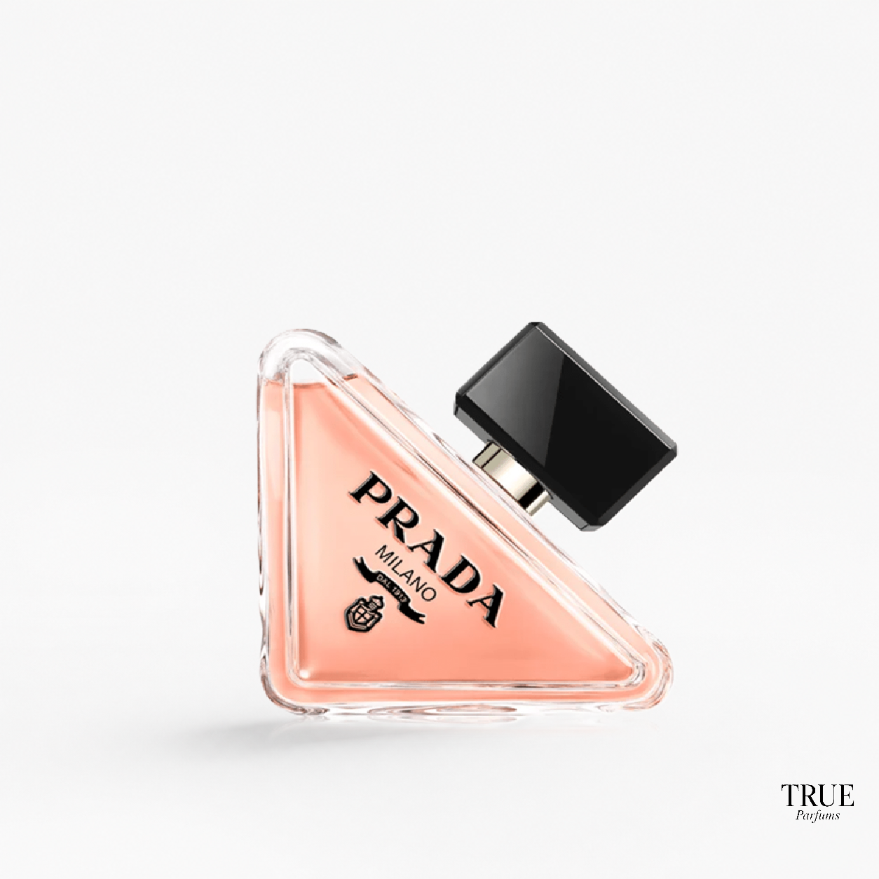 Prada Paradoxe